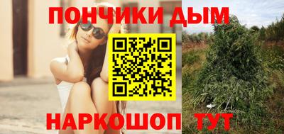 прущие грибы Рузаевка