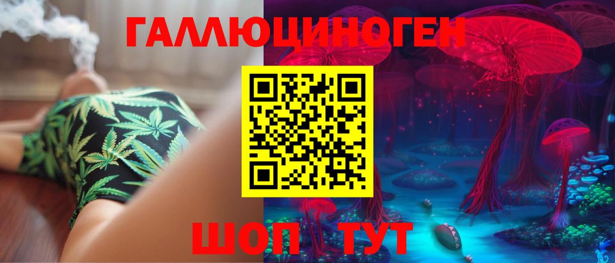 Санкт-Петербург  Псилоцибиновые грибы MAGIC MUSHROOMS  Вход с VPN  Псилоцибиновые грибы Psilocybine cubensis 